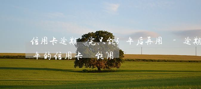 信用卡逾期還完只能5年后再用嗎-逾期一年的信用卡還能用嗎