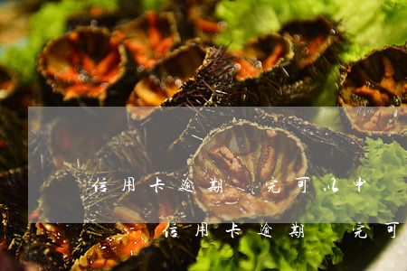 信用卡逾期還完可以申請(qǐng)開卡嗎-信用卡逾期還完可以申請(qǐng)開卡嗎