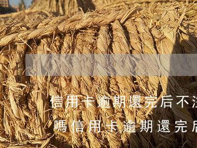 信用卡逾期還完后不注銷(xiāo)可以嗎(信用卡逾期還完后不注銷(xiāo)可以嗎)