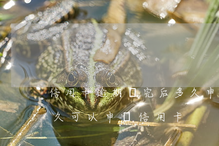 信用卡逾期還完后多久申請貸款(有逾期后多久可以申請信用卡)