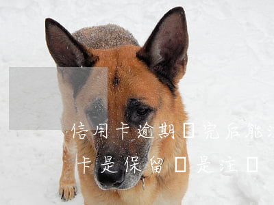 信用卡逾期還完后能注銷-逾期停用的信用卡是保留還是注銷
