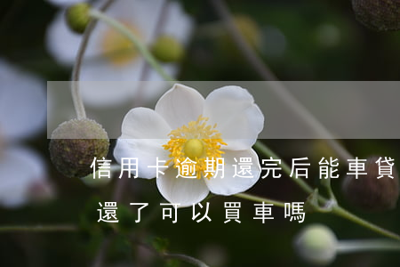 信用卡逾期還完后能車貸嗎(信用卡嚴重逾期還了可以買車嗎)