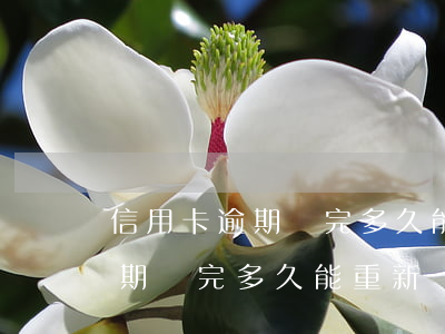 信用卡逾期還完多久能重新辦理-信用卡逾期還完多久能重新辦理銀行卡