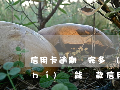 信用卡逾期還完多長(zhǎng)時(shí)間能貸款 信用卡 逾期多久