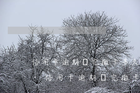信用卡逾期還完撤卡多久恢復(fù)信用-信用卡逾期還完撤卡多久恢復(fù)信用額度