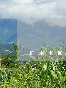 信用卡逾期還完款后(信用卡逾期還完款后要立即銷(xiāo)卡嗎)
