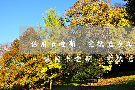 信用卡逾期還完款后多久恢復(fù)征信-信用卡逾期還完款后多久恢復(fù)征信,能貸款買(mǎi)房嗎?
