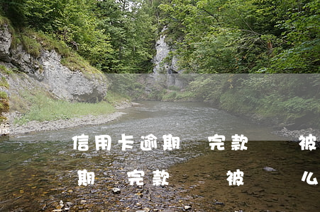 信用卡逾期還完款還會被訴訟么-信用卡逾期還完款還會被訴訟么嗎