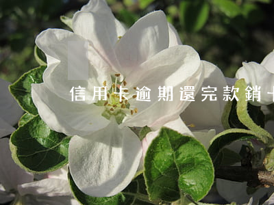 信用卡逾期還完款銷卡了未銷戶
