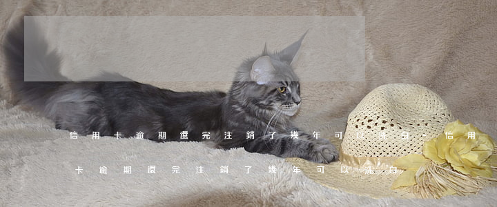 信用卡逾期還完注銷了幾年可以洗白-信用卡逾期還完注銷了幾年可以洗白