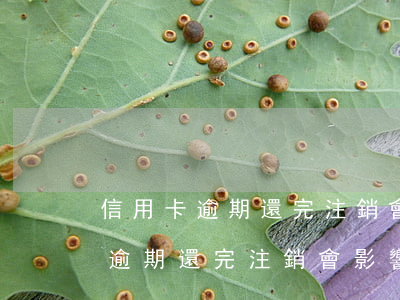 信用卡逾期還完注銷會影響征信嗎-信用卡逾期還完注銷會影響征信嗎知乎