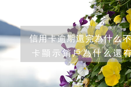 信用卡逾期還完為什么不用銷戶(征信上信用卡顯示銷戶為什么還有逾期金額)