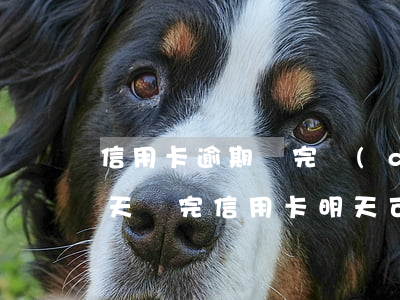 信用卡逾期還完當(dāng)天能刷嗎(今天還完信用卡,明天可以刷嗎)