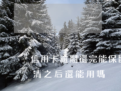 信用卡逾期還完能保留額度(逾期的信用卡還清之后還能用嗎)