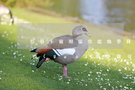 信用卡逾期還完能做車貸嗎(我信用卡有逾期過(guò)辦車貸可以過(guò)嗎?)