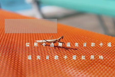 信用卡逾期還完貸款卡還能用嗎(信用卡逾期還完貸款卡還能用嗎)