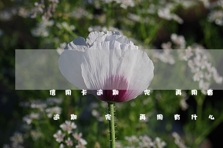 信用卡逾期還完還再用有什么影響-信用卡逾期還完還再用有什么影響嗎