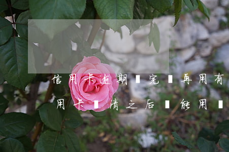 信用卡逾期還完還再用有什么影響 逾期的信用卡還清之后還能用嗎