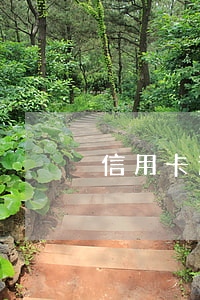 信用卡逾期還完還可以再申請嗎