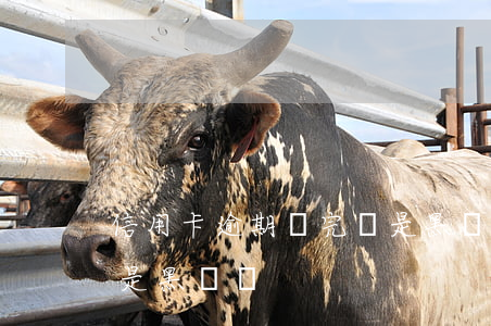 信用卡逾期還完還是黑戶嗎(有逾期還完了還是黑戶嗎)
