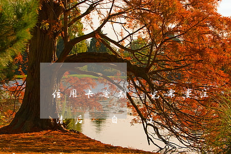 信用卡逾期還完需要注銷嗎(逾期的信用卡還清后會自動注銷嗎)