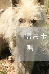 信用卡逾期還完需要開結(jié)清證明嗎