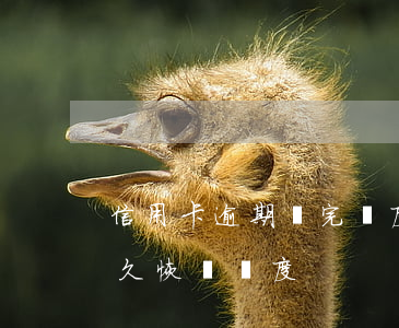 信用卡逾期還完額度清0(信用卡逾期還完多久恢復額度)