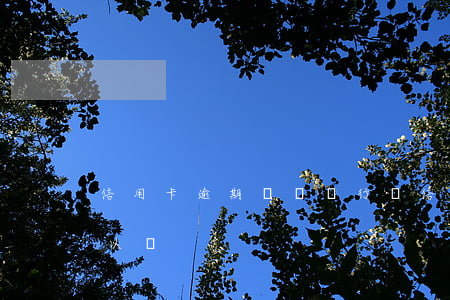 信用卡逾期還幾塊行嗎(信用卡逾期還幾百可以嗎)