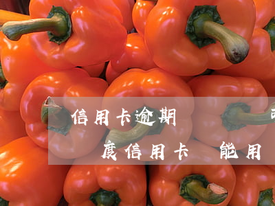 信用卡逾期還幾塊錢可以嗎(逾期幾天還最低額度信用卡還能用嗎)