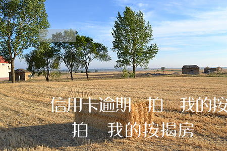 信用卡逾期還拍賣我的按揭房嗎 信用卡逾期還拍賣我的按揭房嗎