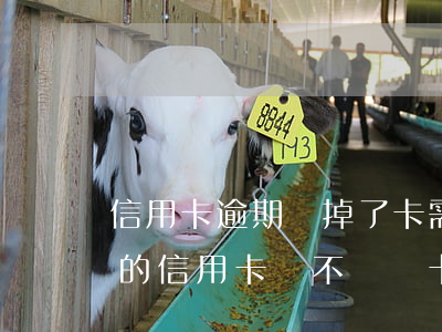 信用卡逾期還掉了卡需要去注銷嗎 有過逾期的信用卡該不該銷卡