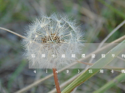 信用卡逾期還提額不(有過逾期還可以申請(qǐng)信用卡嗎)