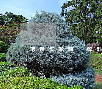 信用卡逾期還收利息嗎(信用卡 逾期 罰息)