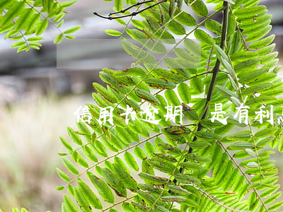 信用卡逾期還是有利息的嗎