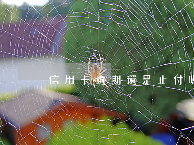 信用卡逾期還是止付嗎(逾期不還信用卡)