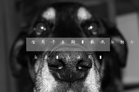 信用卡逾期還最低后能分期嗎(逾期最低還款后也無法使用嗎)