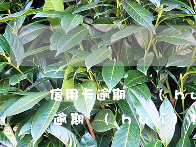 信用卡逾期還會(huì)抓人嗎 欠信用卡逾期會(huì)被凍結(jié)所有資產(chǎn)嗎