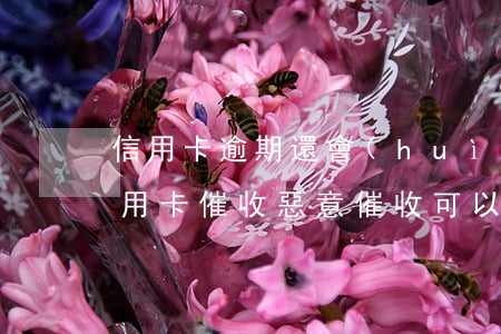 信用卡逾期還會(huì)暴力催收嗎 被信用卡催收惡意催收可以報(bào)警嗎