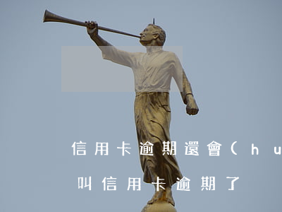 信用卡逾期還會(huì)有什么后果(什么叫信用卡逾期了)
