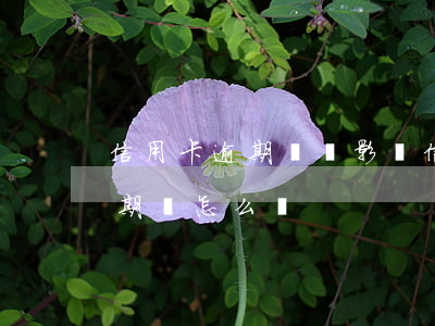 信用卡逾期還會影響信用嗎(如果說信用卡逾期會怎么樣)