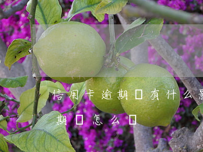信用卡逾期還有什么影響嗎(如果說信用卡逾期會怎么樣)