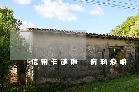 信用卡逾期還有利息嘛