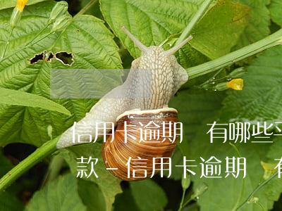 信用卡逾期還有哪些平臺(tái)可以出款-信用卡逾期還有哪些平臺(tái)可以出款的
