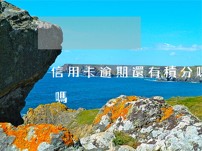 信用卡逾期還有積分嗎(信用卡逾期還有積分嗎)