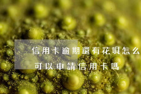 信用卡逾期還有花唄怎么回事-花唄逾期了可以申請信用卡嗎