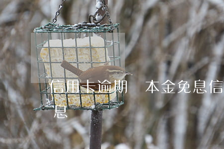 信用卡逾期還本金免息(信用卡逾期還本金免息嗎)