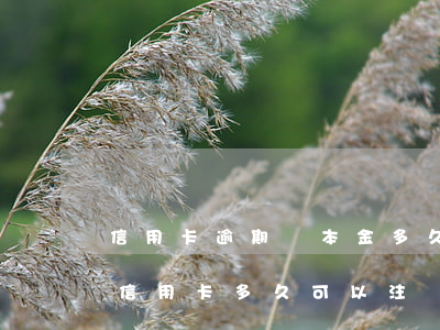 信用卡逾期還本金多久可以銷卡-逾期后的信用卡,多久可以注銷