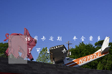 信用卡逾期還本金要多久銷卡(逾期的卡還完了可以銷卡嗎)