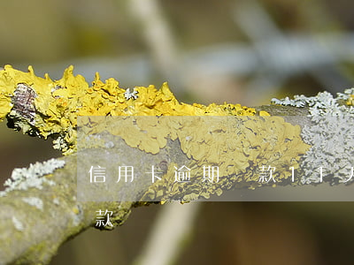 信用卡逾期還款11天(逾期11天還可以貸款嗎)