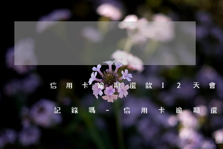 信用卡逾期還款1，2天會(huì)有不良記錄嗎?-信用卡逾期還款1,2天會(huì)有不良記錄嗎